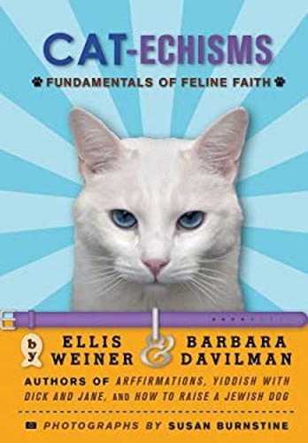 Cat echisms fundamentals of - cat-echisms,
